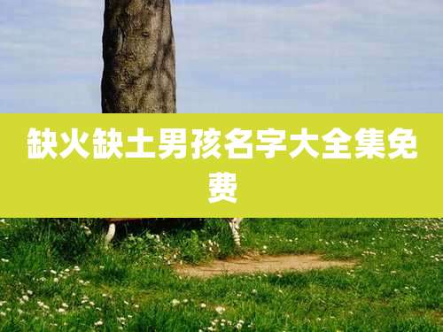 缺火缺土男孩名字大全集免费