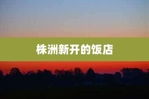 株洲新开的饭店