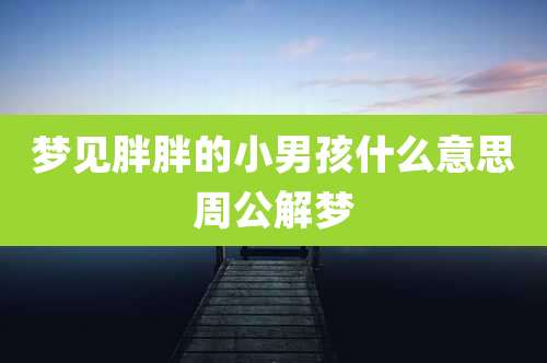 梦见胖胖的小男孩什么意思周公解梦