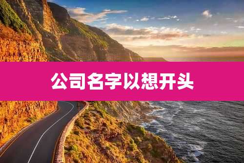 公司名字以想开头