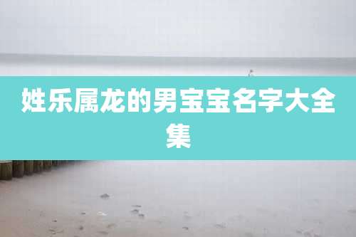姓乐属龙的男宝宝名字大全集
