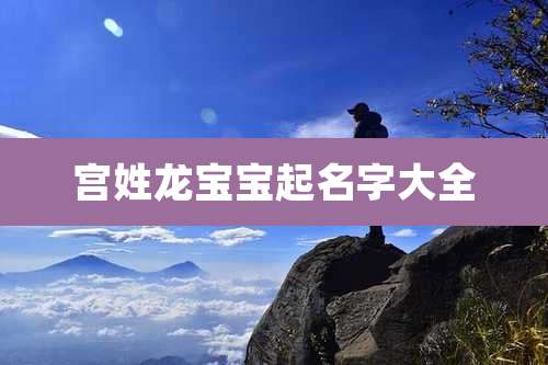 宫姓龙宝宝起名字大全