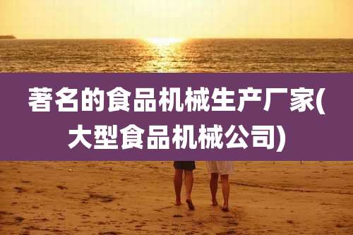 著名的食品机械生产厂家(大型食品机械公司)