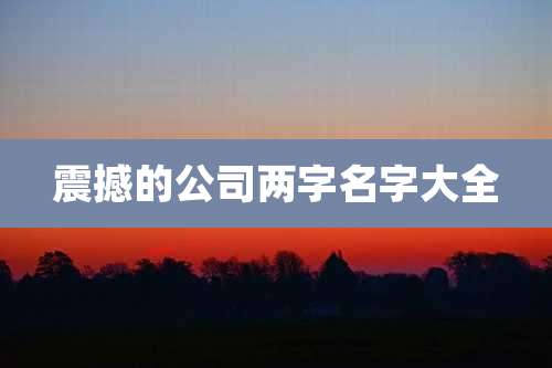 震撼的公司两字名字大全