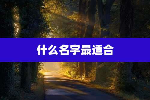 什么名字最适合