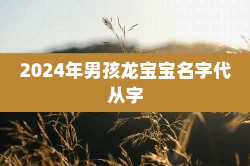 2024年男孩龙宝宝名字代从字