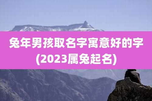 兔年男孩取名字寓意好的字(2023属兔起名)