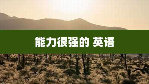 能力很强的 英语