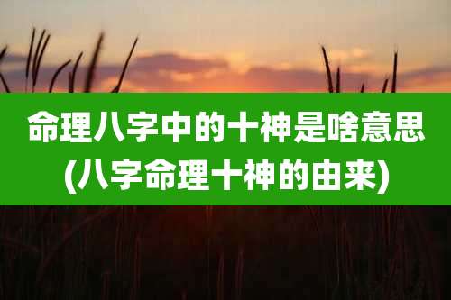 命理八字中的十神是啥意思(八字命理十神的由来)