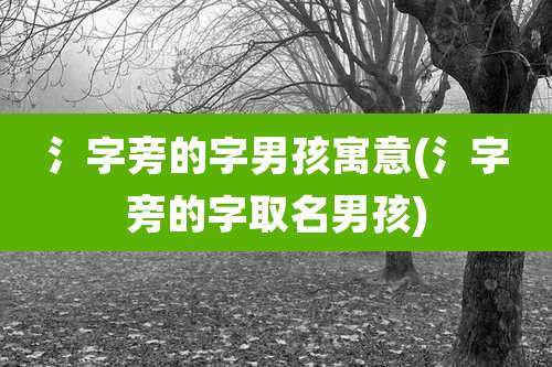 氵字旁的字男孩寓意(氵字旁的字取名男孩)