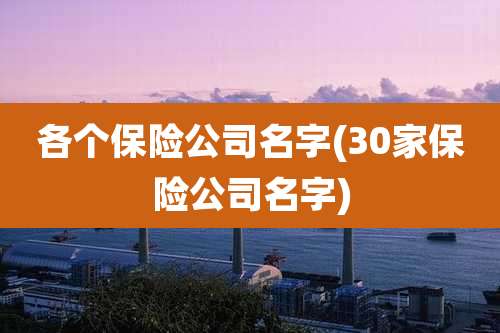 各个保险公司名字(30家保险公司名字)