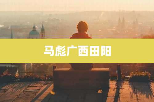 马彪广西田阳