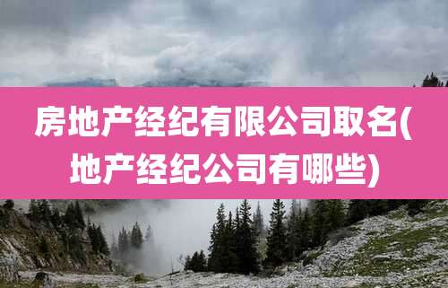 房地产经纪有限公司取名(地产经纪公司有哪些)