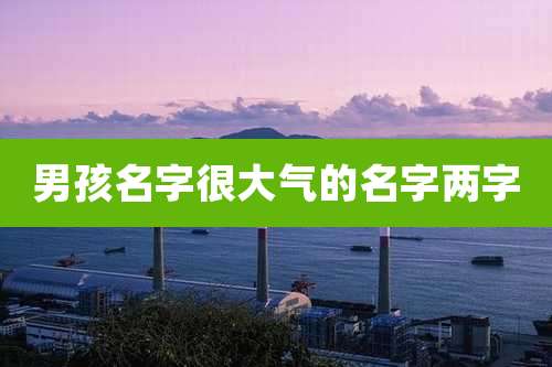 男孩名字很大气的名字两字