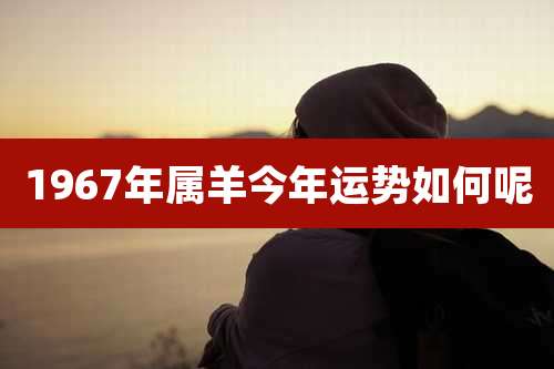 1967年属羊今年运势如何呢