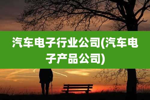 汽车电子行业公司(汽车电子产品公司)