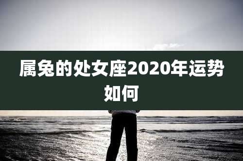 属兔的处女座2020年运势如何