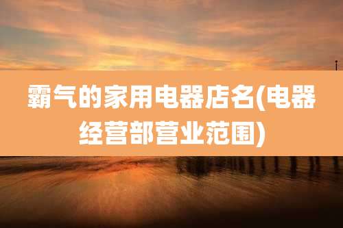 霸气的家用电器店名(电器经营部营业范围)