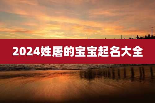 2024姓屠的宝宝起名大全