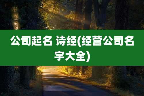 公司起名 诗经(经营公司名字大全)