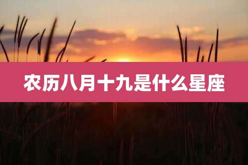 农历八月十九是什么星座