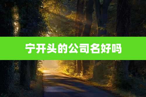 宁开头的公司名好吗