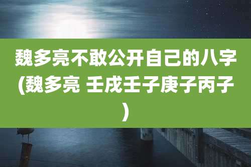 魏多亮不敢公开自己的八字(魏多亮 壬戌壬子庚子丙子)