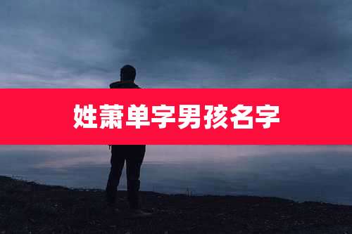 姓萧单字男孩名字