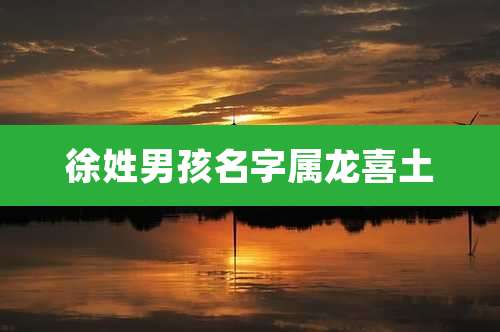 徐姓男孩名字属龙喜土