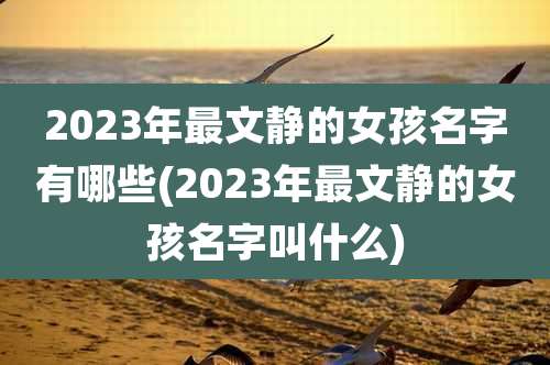 2023年最文静的女孩名字有哪些(2023年最文静的女孩名字叫什么)