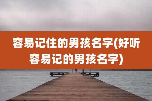 容易记住的男孩名字(好听容易记的男孩名字)