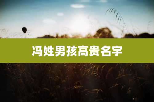 冯姓男孩高贵名字