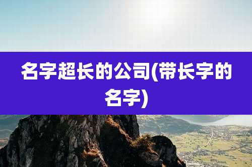 名字超长的公司(带长字的名字)