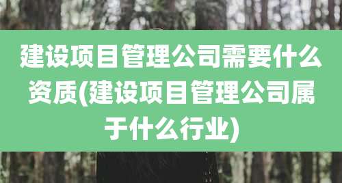 建设项目管理公司需要什么资质(建设项目管理公司属于什么行业)