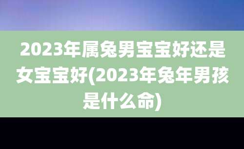 2023年属兔男宝宝好还是女宝宝好(2023年兔年男孩是什么命)