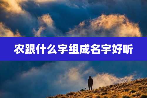 农跟什么字组成名字好听