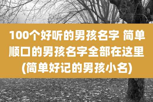 100个好听的男孩名字 简单顺口的男孩名字全部在这里(简单好记的男孩小名)
