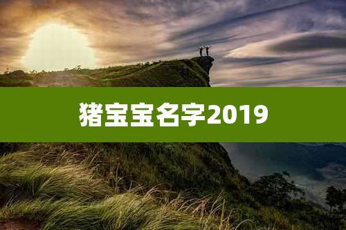 猪宝宝名字2019