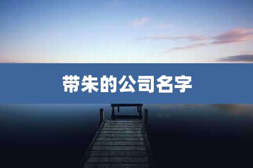 带朱的公司名字
