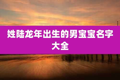 姓陆龙年出生的男宝宝名字大全