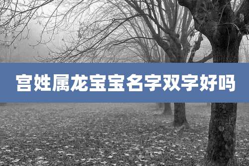 宫姓属龙宝宝名字双字好吗