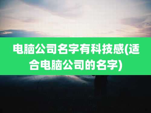 电脑公司名字有科技感(适合电脑公司的名字)