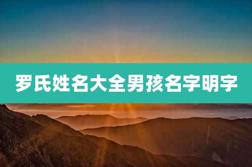 罗氏姓名大全男孩名字明字