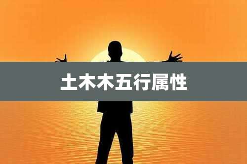 土木木五行属性