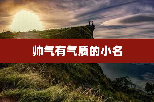 帅气有气质的小名