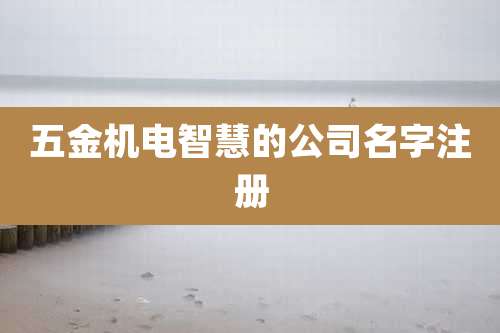 五金机电智慧的公司名字注册