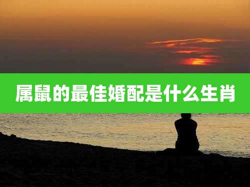 属鼠的最佳婚配是什么生肖