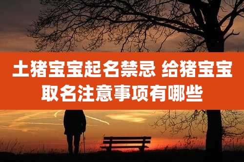 土猪宝宝起名禁忌 给猪宝宝取名注意事项有哪些