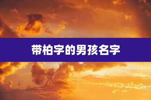 带柏字的男孩名字