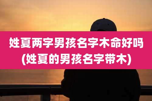 姓夏两字男孩名字木命好吗(姓夏的男孩名字带木)